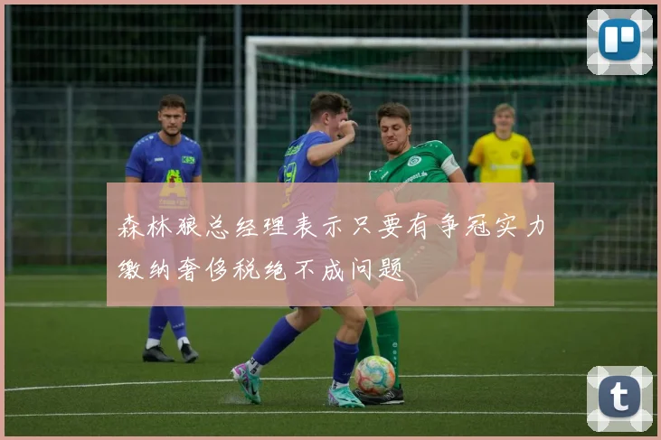 森林狼总经理表示只要有争冠实力缴纳奢侈税绝不成问题