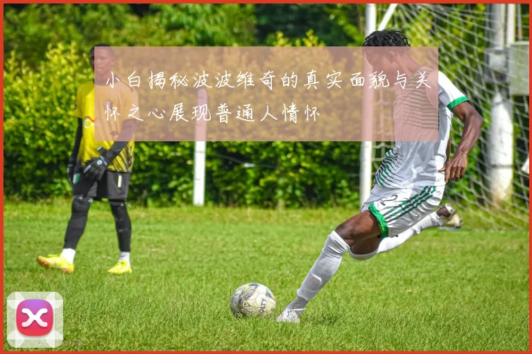 小白揭秘波波维奇的真实面貌与关怀之心展现普通人情怀