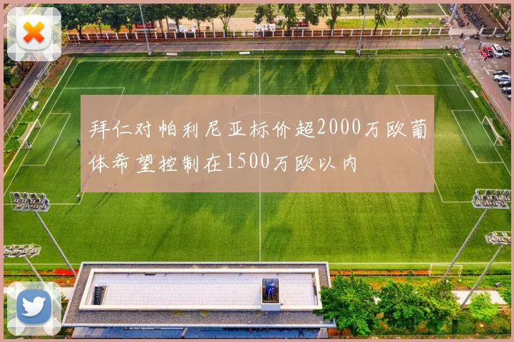 拜仁对帕利尼亚标价超2000万欧葡体希望控制在1500万欧以内