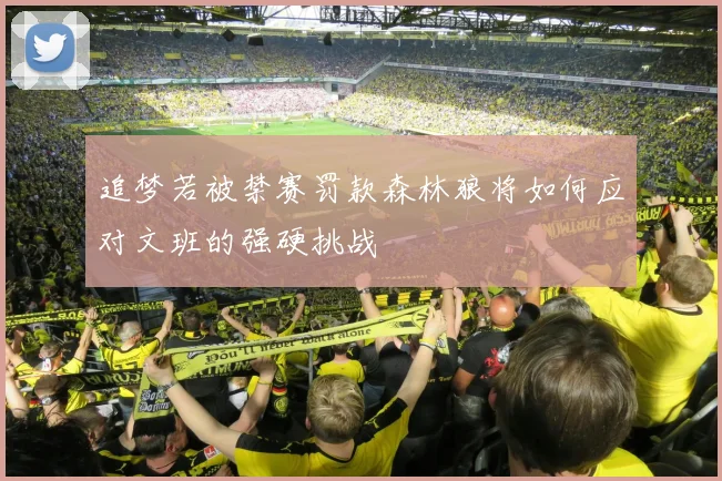 追梦若被禁赛罚款森林狼将如何应对文班的强硬挑战